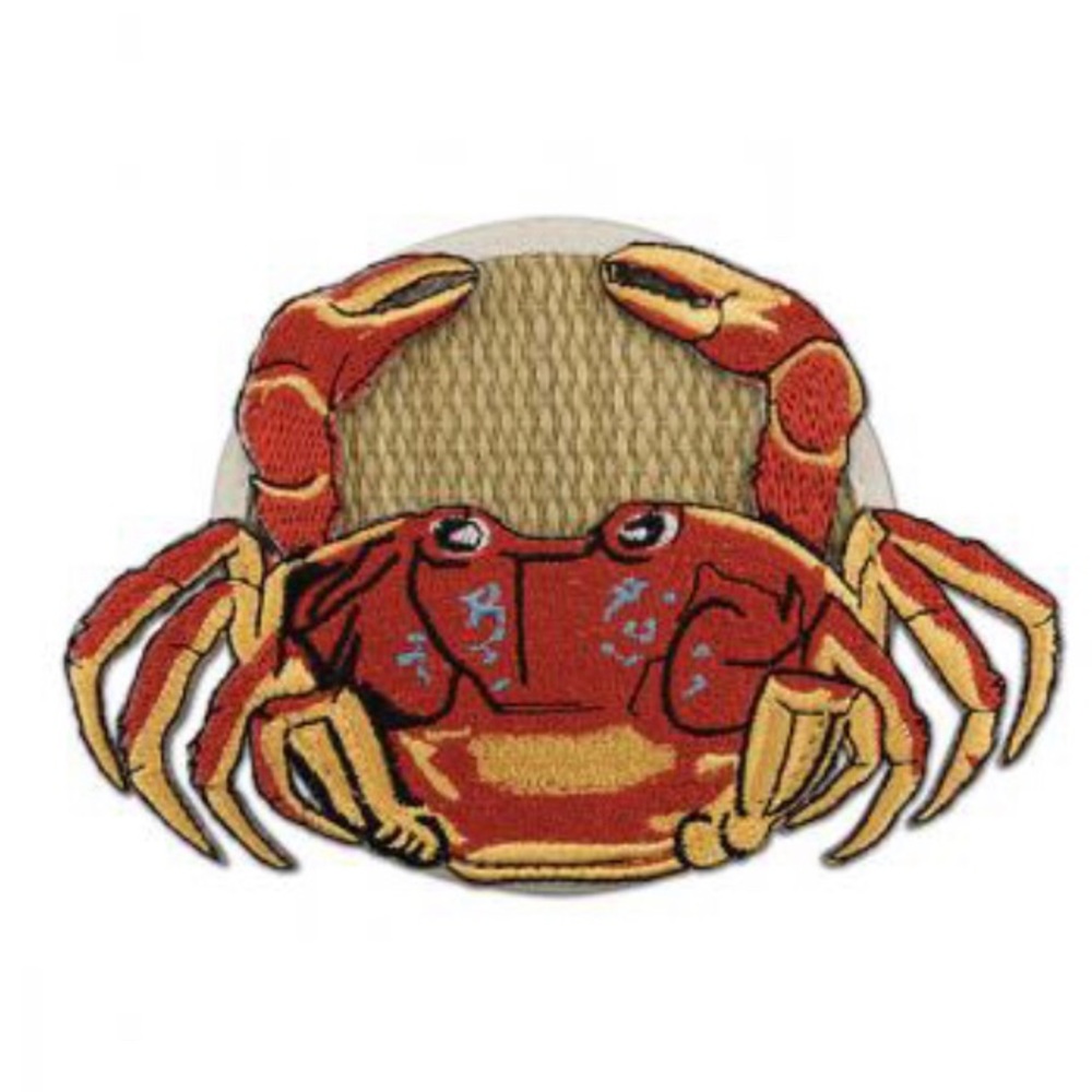 🛍3/$20 Epic  Seascape Glass Slippers  Coasters